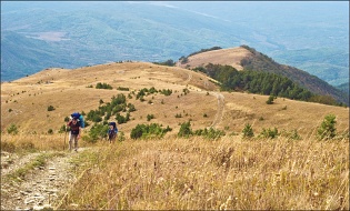 Тягун, тяжёлый как чугун.