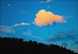 Оранжевый фламинго