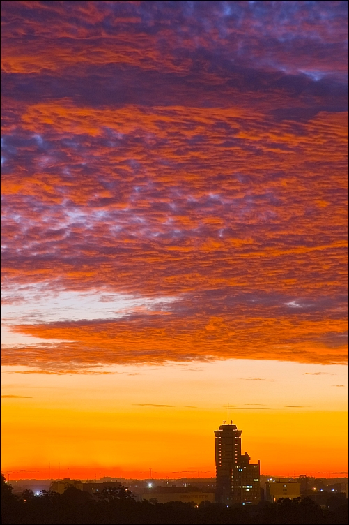 _DSC7562_d