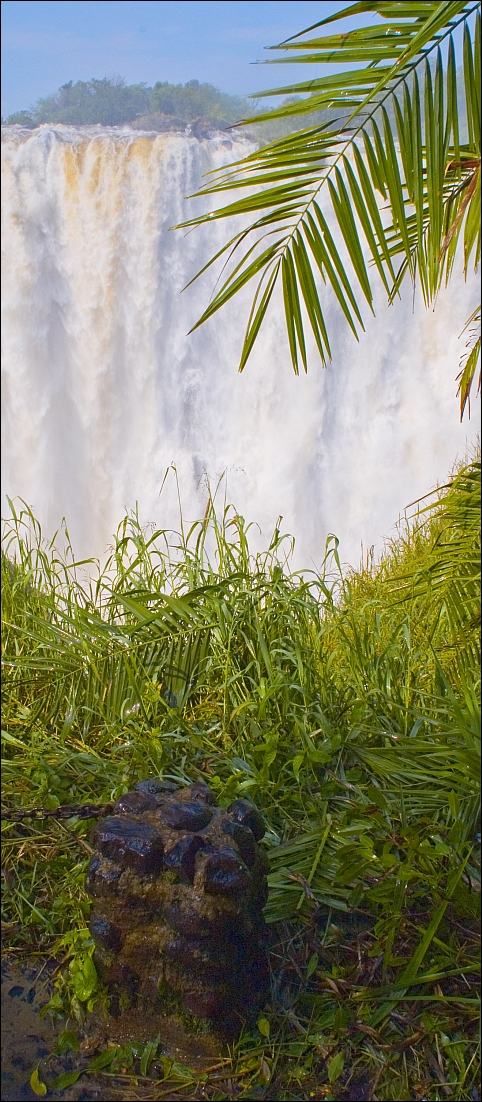 _DSC7683_d