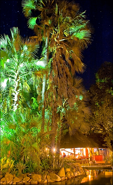 _DSC7836_d