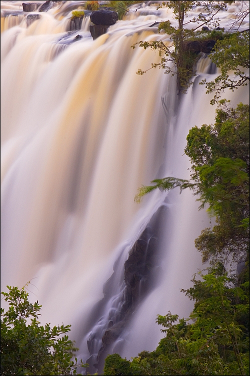 _DSC7855_d