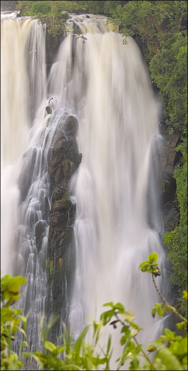 _DSC7863_d