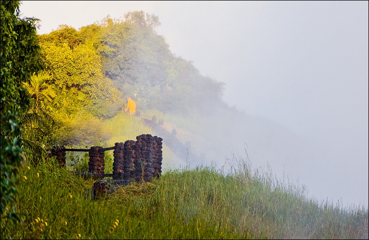 _DSC7871_d
