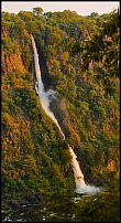 _DSC7800_d