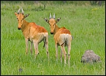 _DSC7434_c