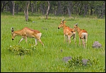 _DSC7435_c