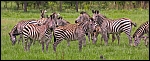 _DSC7446_c