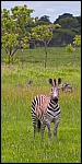 _DSC7447_c