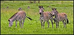 _DSC7457_c