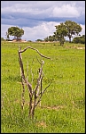 _DSC7467_c