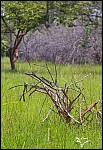 _DSC7479_c
