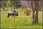 _DSC7486_c