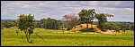 _DSC7491_c