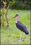 _DSC7518_c