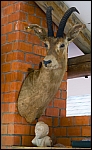 _DSC7551_c