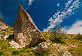 Плавник реликтовой акулы.