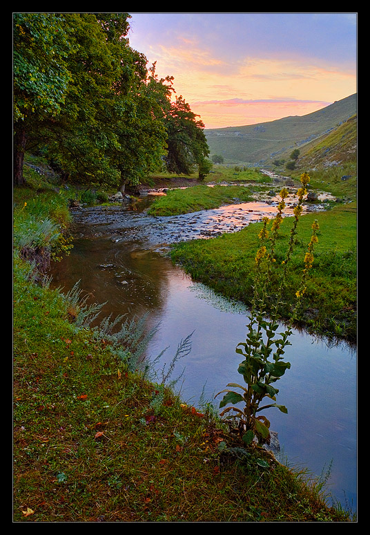 _DSC5962_7_6