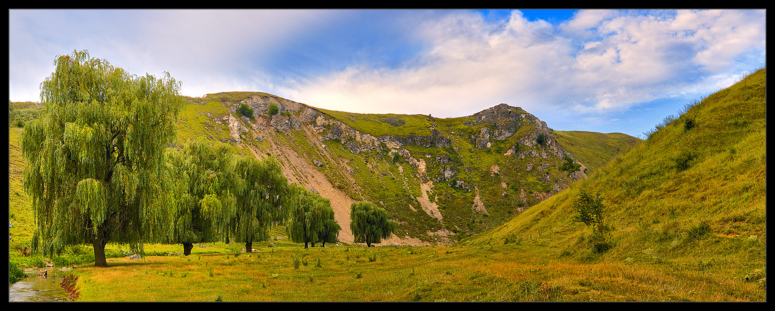 _DSC6121_6135