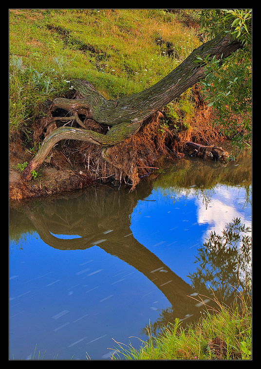 _DSC6160_59