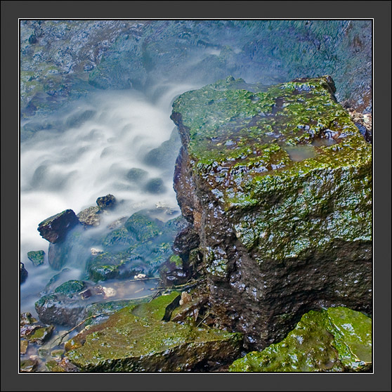 _DSC5397_f