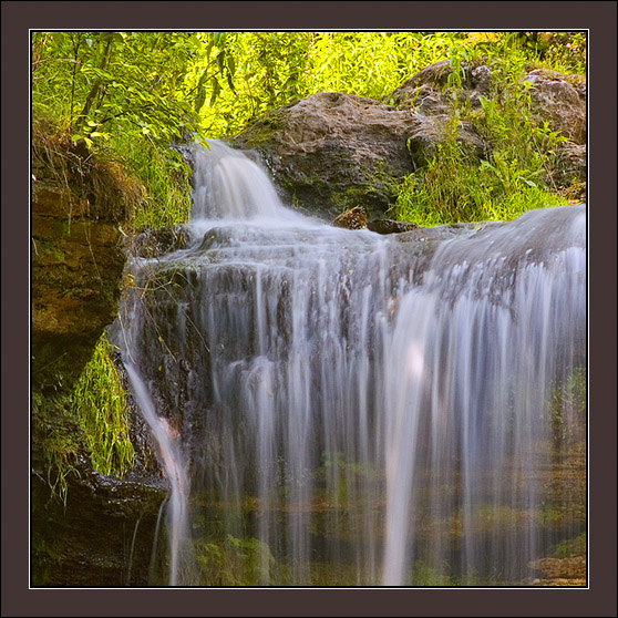 _DSC5486_f