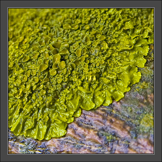_DSC5513_f