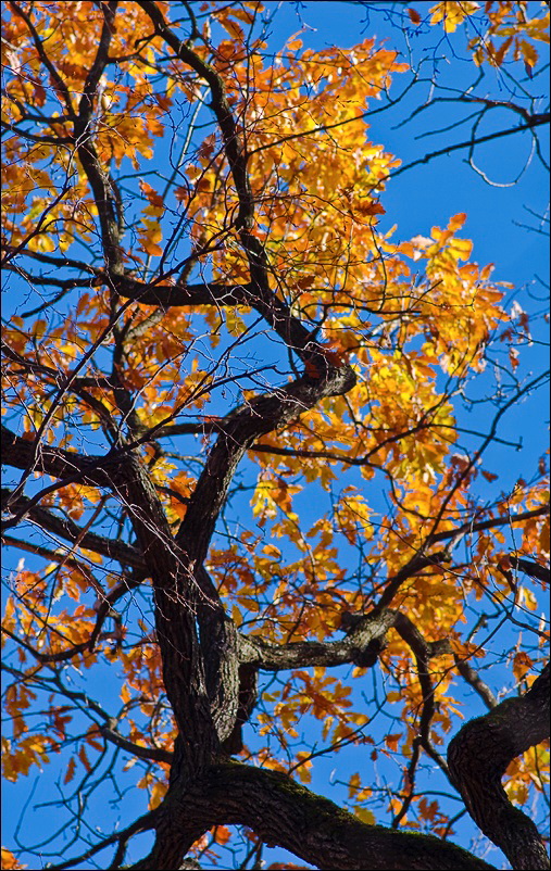 _DSC2509