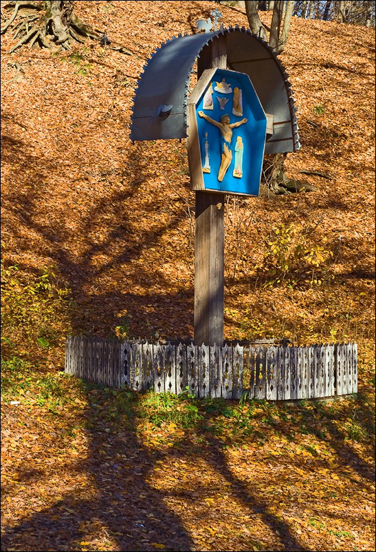_DSC2515
