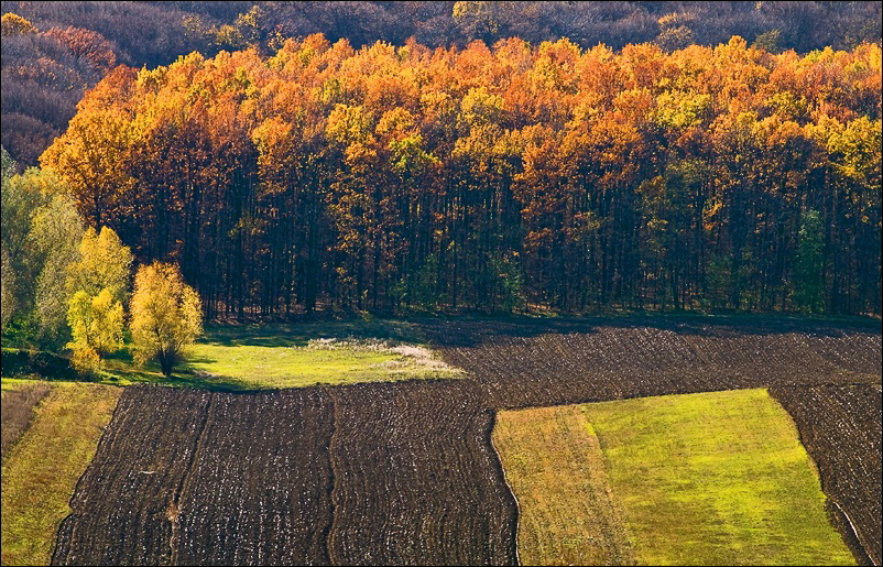 _DSC2568