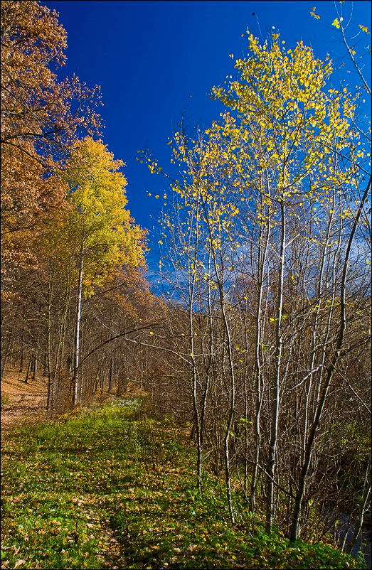 _DSC2600