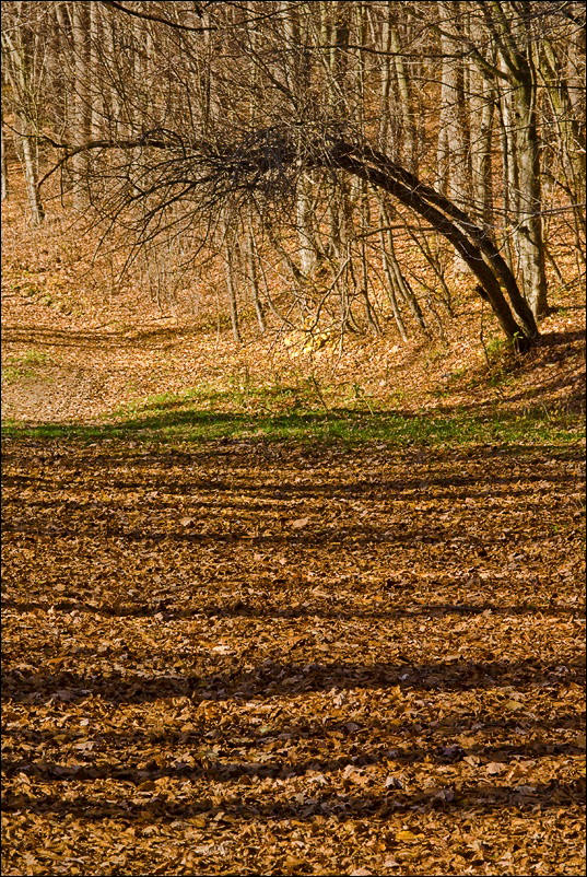 _DSC2610