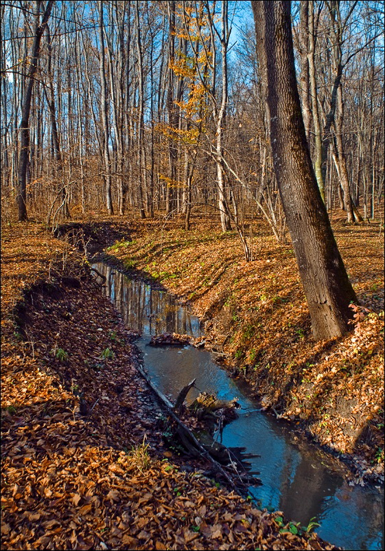 _DSC2621