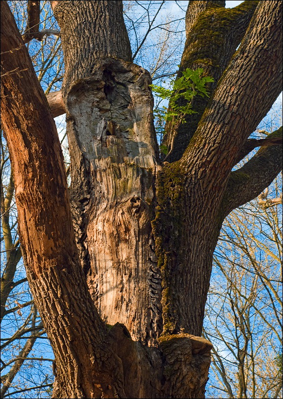 _DSC2626