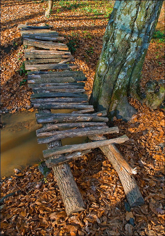 _DSC2630