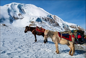 �������� ���� �� 5600�.