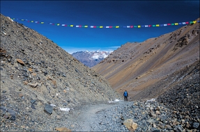 ����������� ������ - ��� ��-���������!