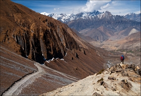 Горизонталь нам только снится. Горизонталь нам только снится.