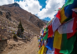 ���� �� ��� ��������, ���� ���� �������.