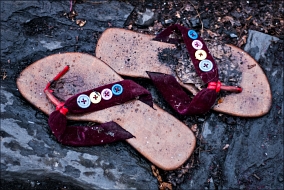 ��������� �� �������� ������.