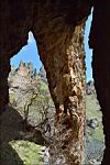 karadag-needle-ear-leg.jpg