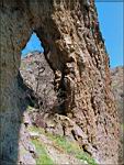 karadag-needle-ear-leg1.jpg