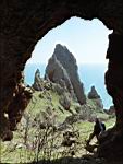 karadag-needle-ear-pavel.jpg