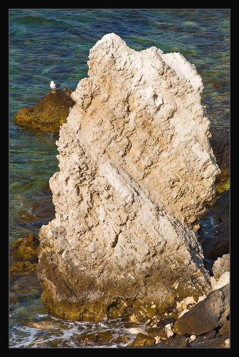 _DSC0422