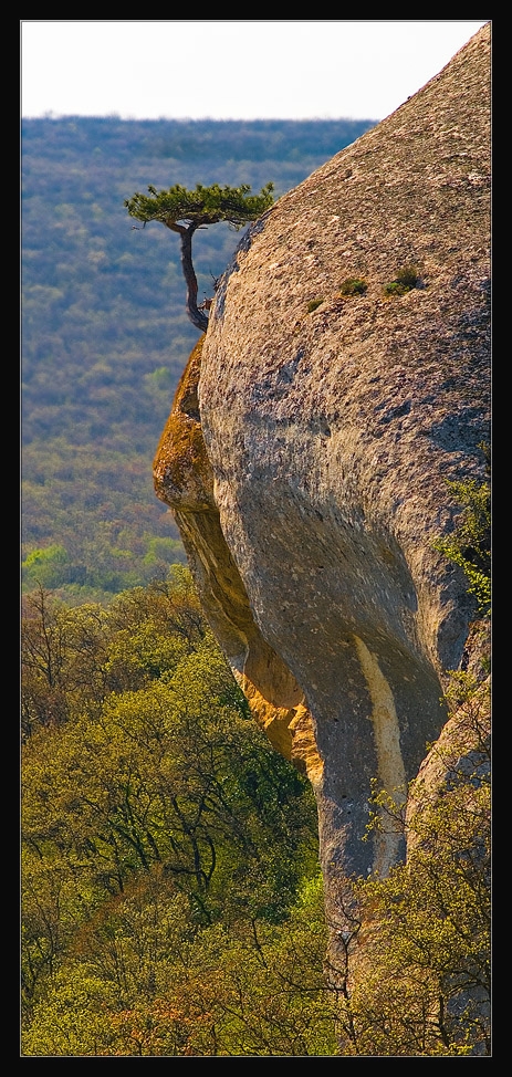_DSC0606