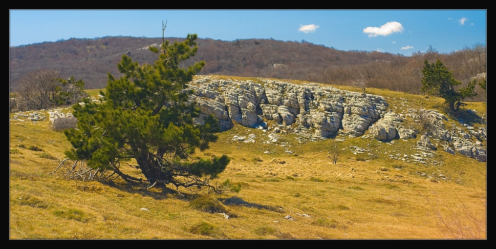 _DSC0779
