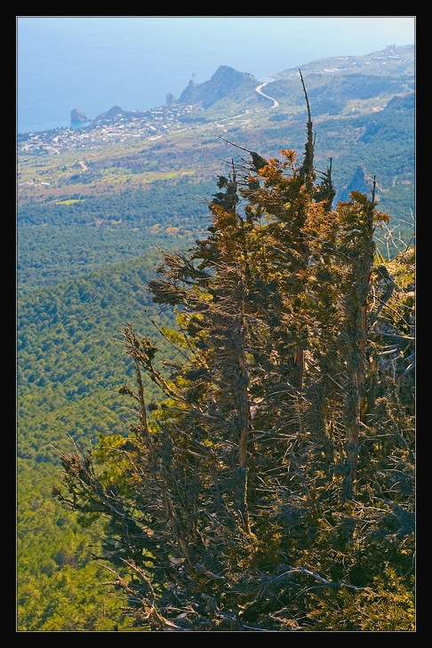 _DSC0783