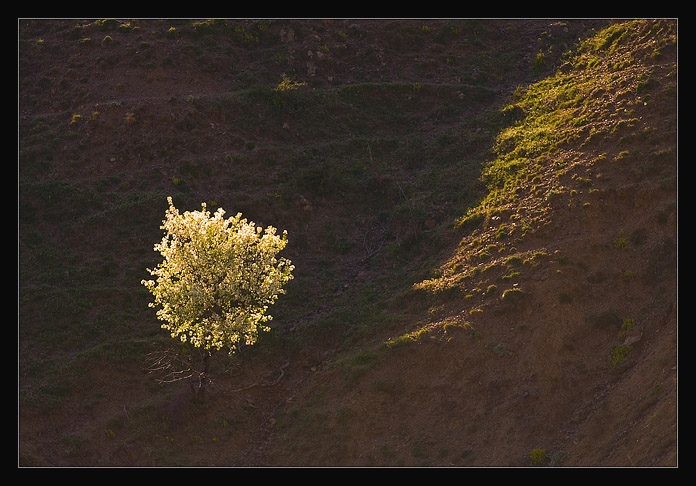 _DSC0974