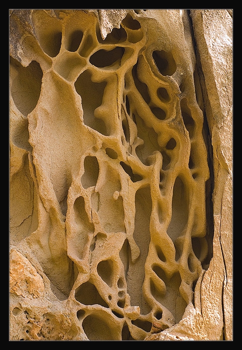 _DSC1110
