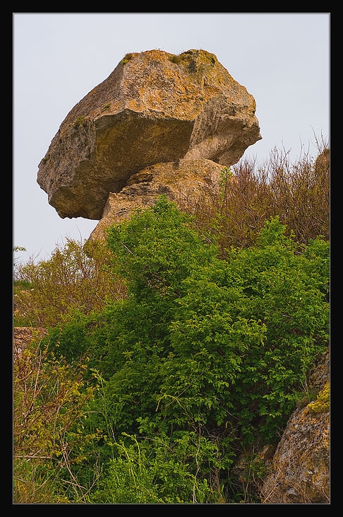 _DSC1184